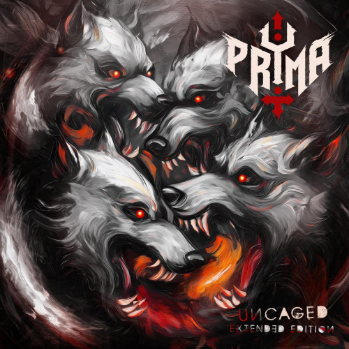 WhatsApp Image 2026-01-06 at 21.32.10